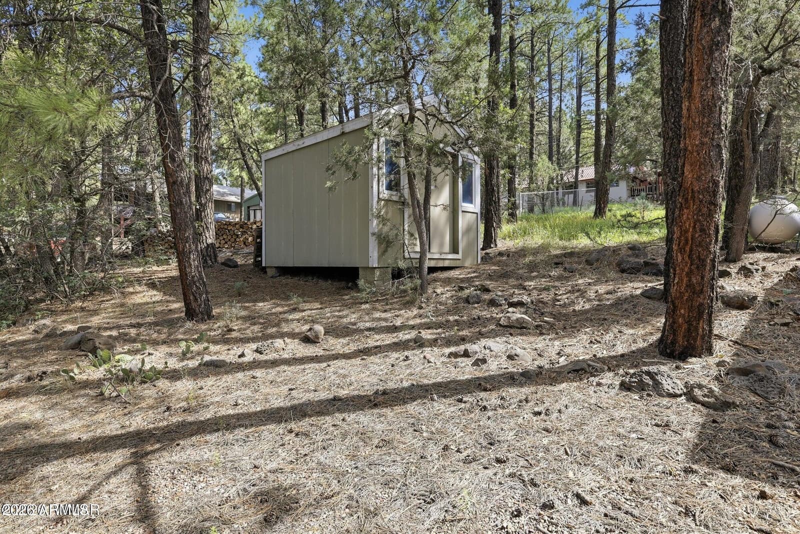 154 W Pine Shadow Drive, Lakeside, AZ 85929 — photo 27 of 29