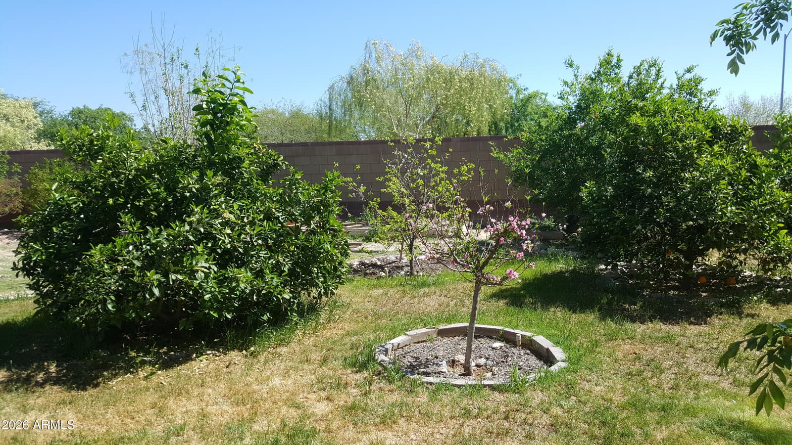 9530 W Deanna Drive, Peoria, AZ 85382 — photo 17 of 20
