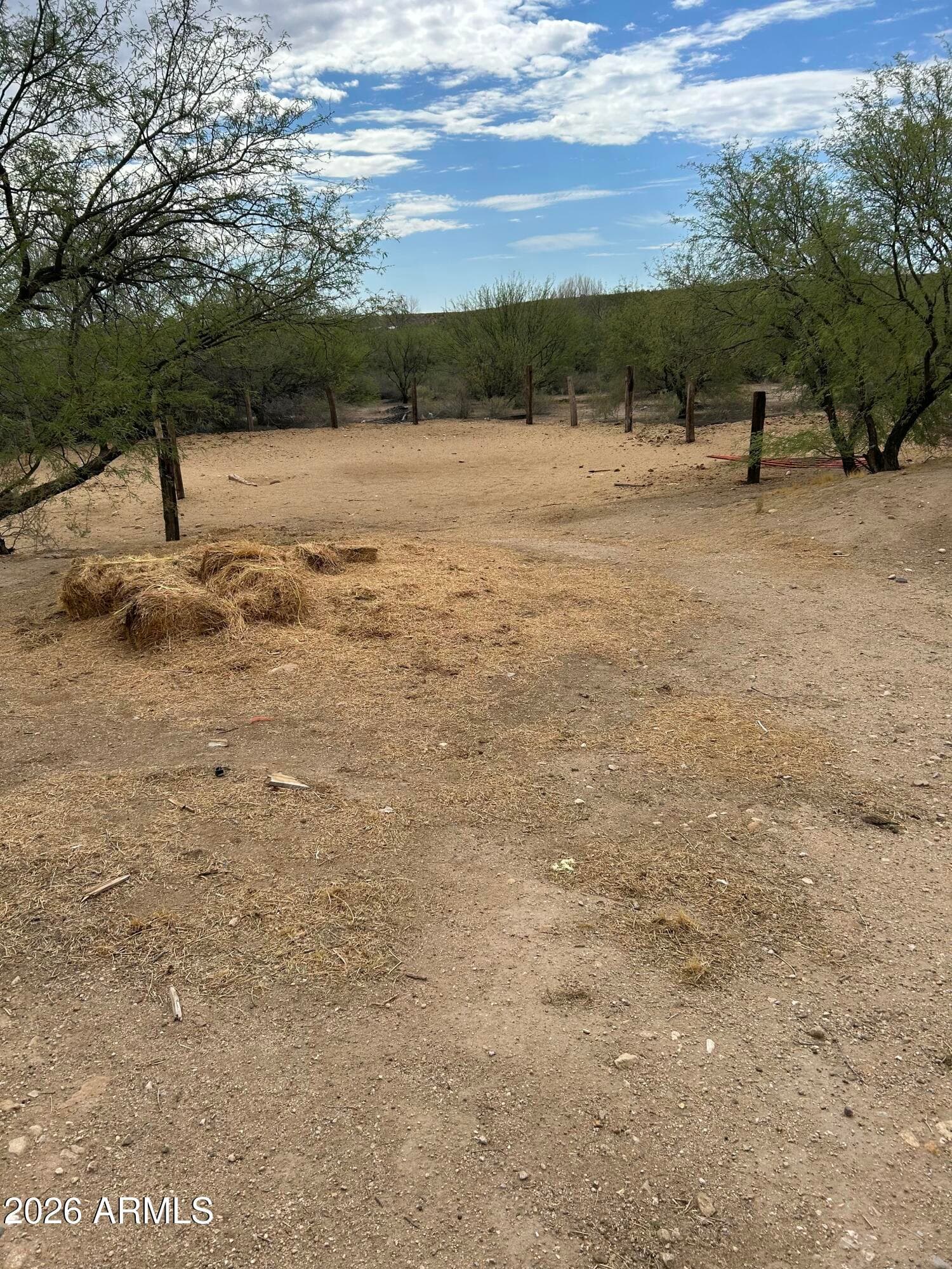1805 N Desert Tortoise Road, Pima, AZ 85543 — photo 4 of 18