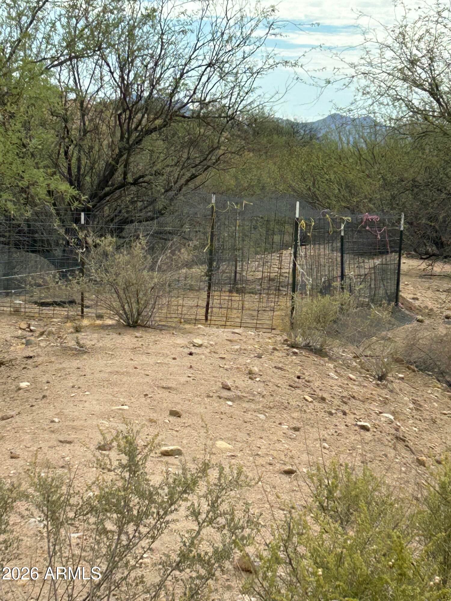 1805 N Desert Tortoise Road, Pima, AZ 85543 — photo 6 of 18
