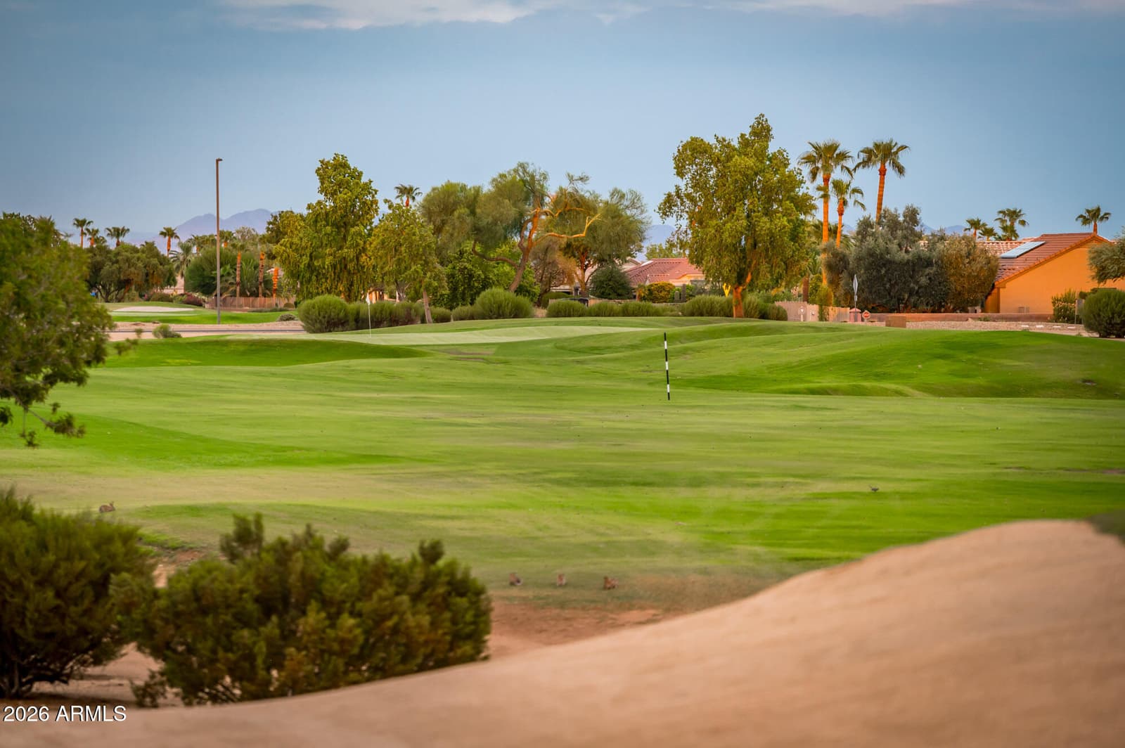 16549 W Arroyo Court, Surprise, AZ 85374 — photo 7 of 65