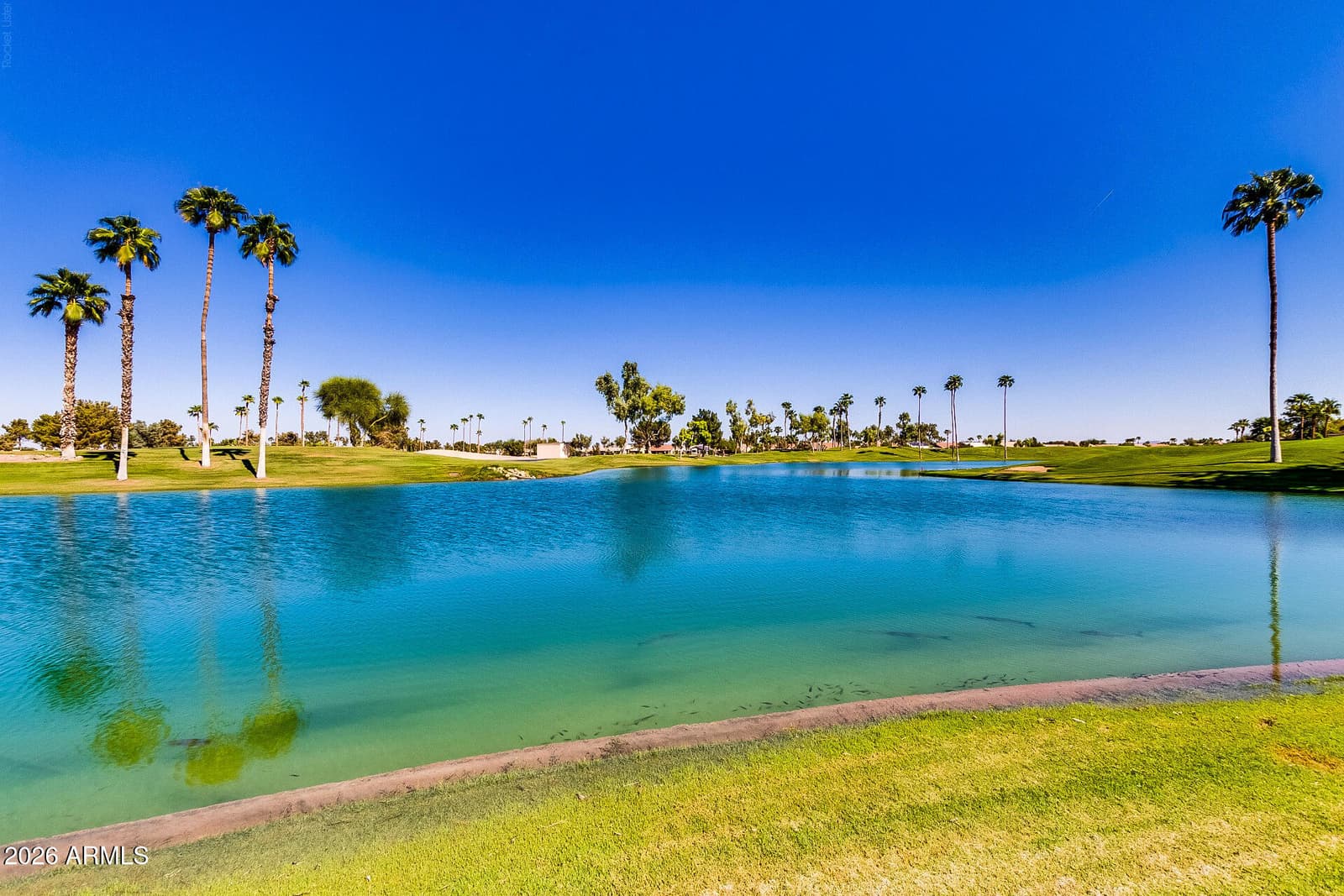 16825 W Pinchot Avenue, Goodyear, AZ 85395 — photo 46 of 61