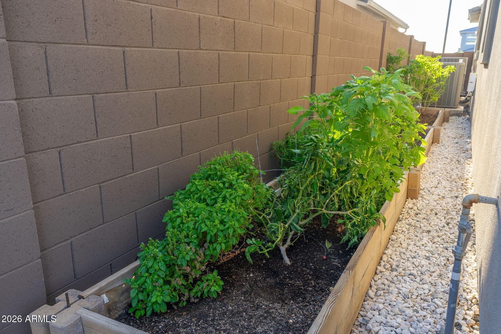 21019 N 60th Terrace, Phoenix, AZ 85054 — photo 39 of 54