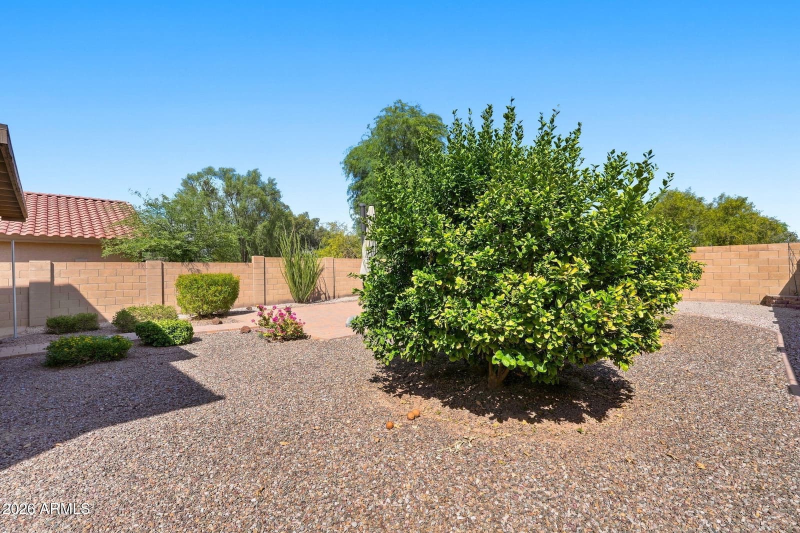 233 S 16th Street, Coolidge, AZ 85128 — photo 31 of 31