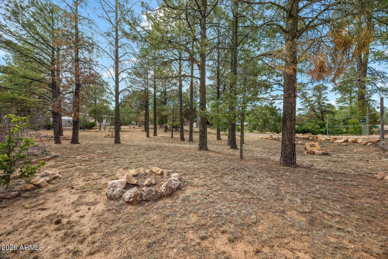 3520 Buckskin Road, Overgaard, AZ 85933 — photo 31 of 34