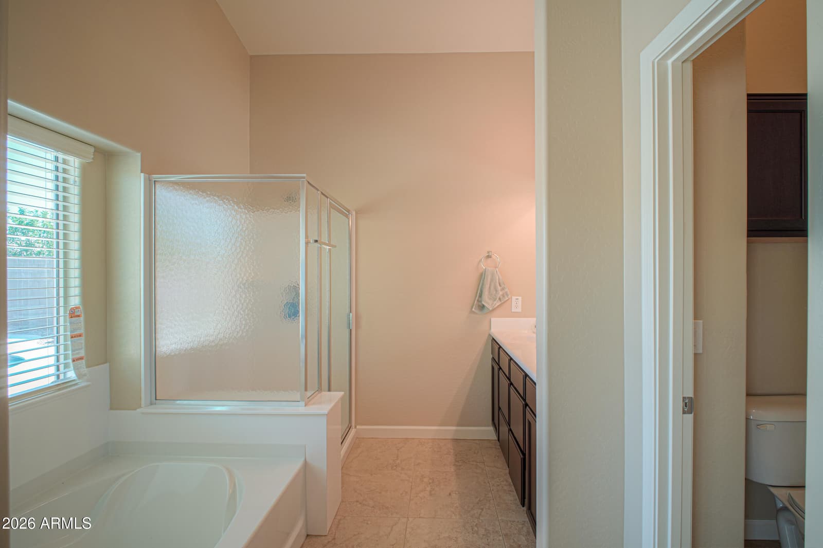 40106 W Robbins Drive, Maricopa, AZ 85138 — photo 33 of 44