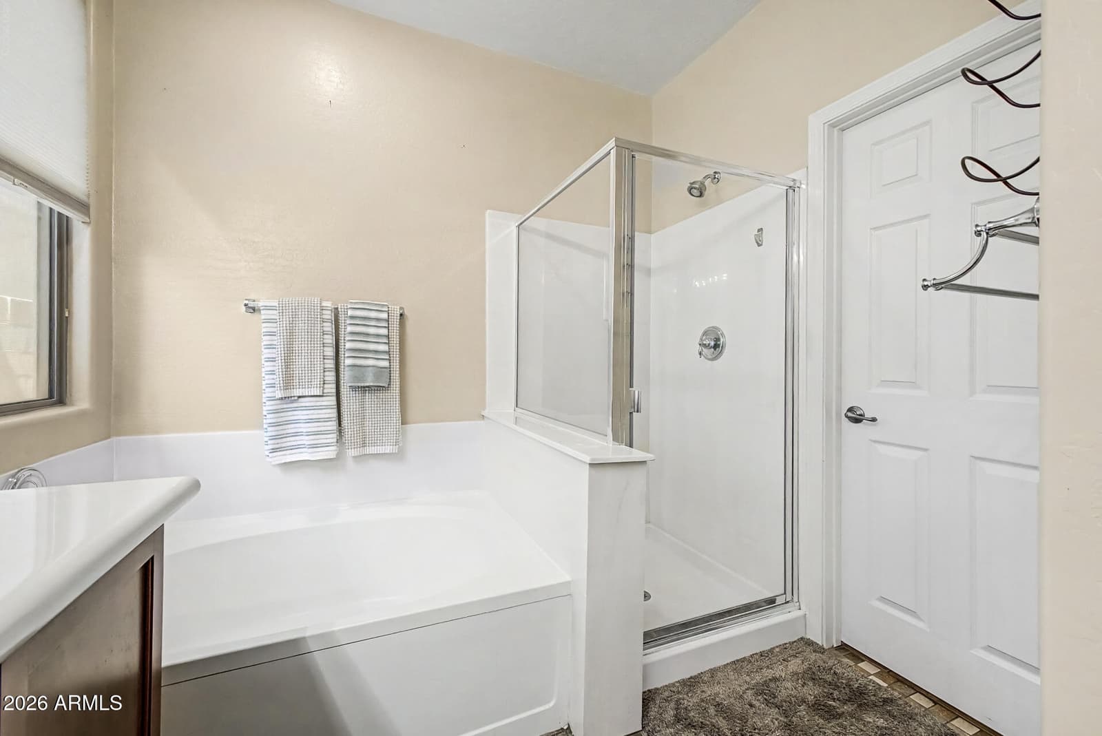 29376 N 68th Avenue, Peoria, AZ 85383 — photo 14 of 25