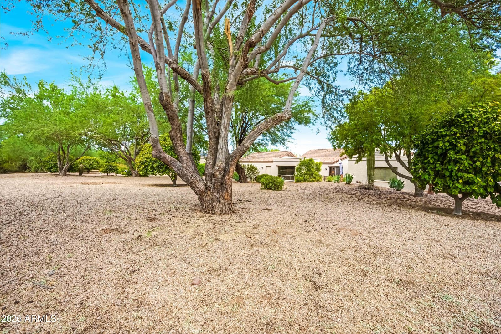 26628 N Avenida Del Ray, Rio Verde, AZ 85263 — photo 38 of 52