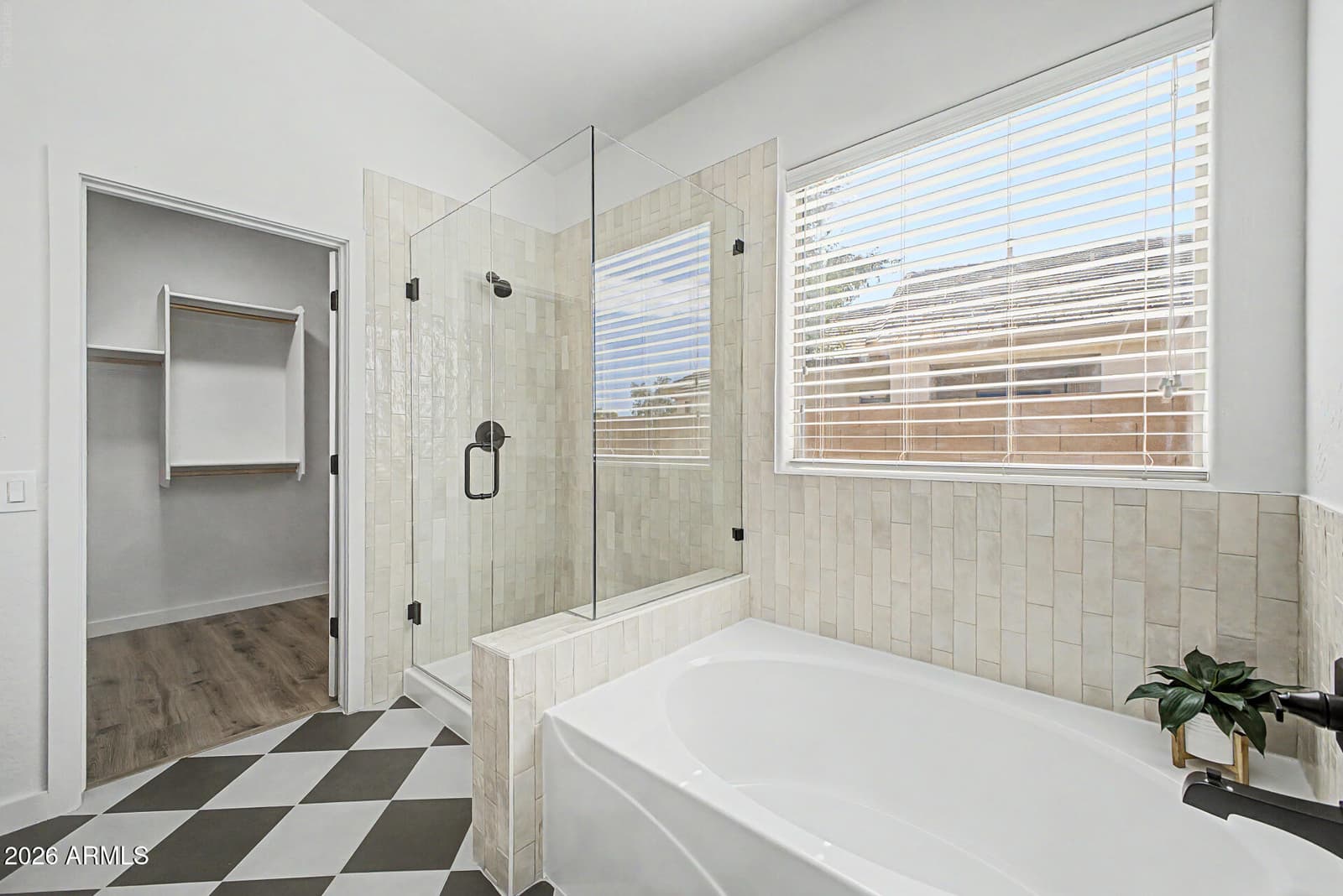 12880 W Segovia Drive, Litchfield Park, AZ 85340 — photo 19 of 24