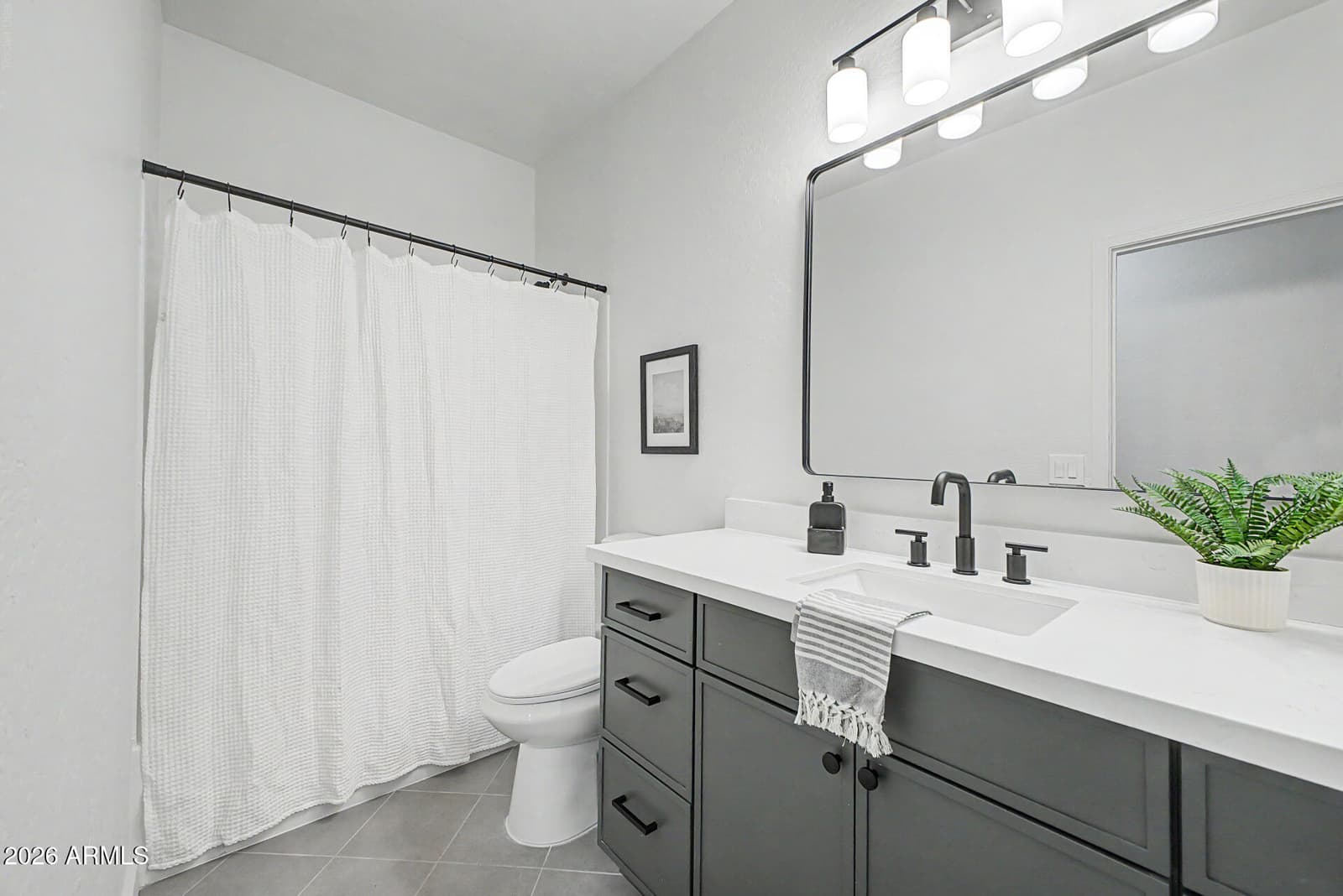 12880 W Segovia Drive, Litchfield Park, AZ 85340 — photo 16 of 24