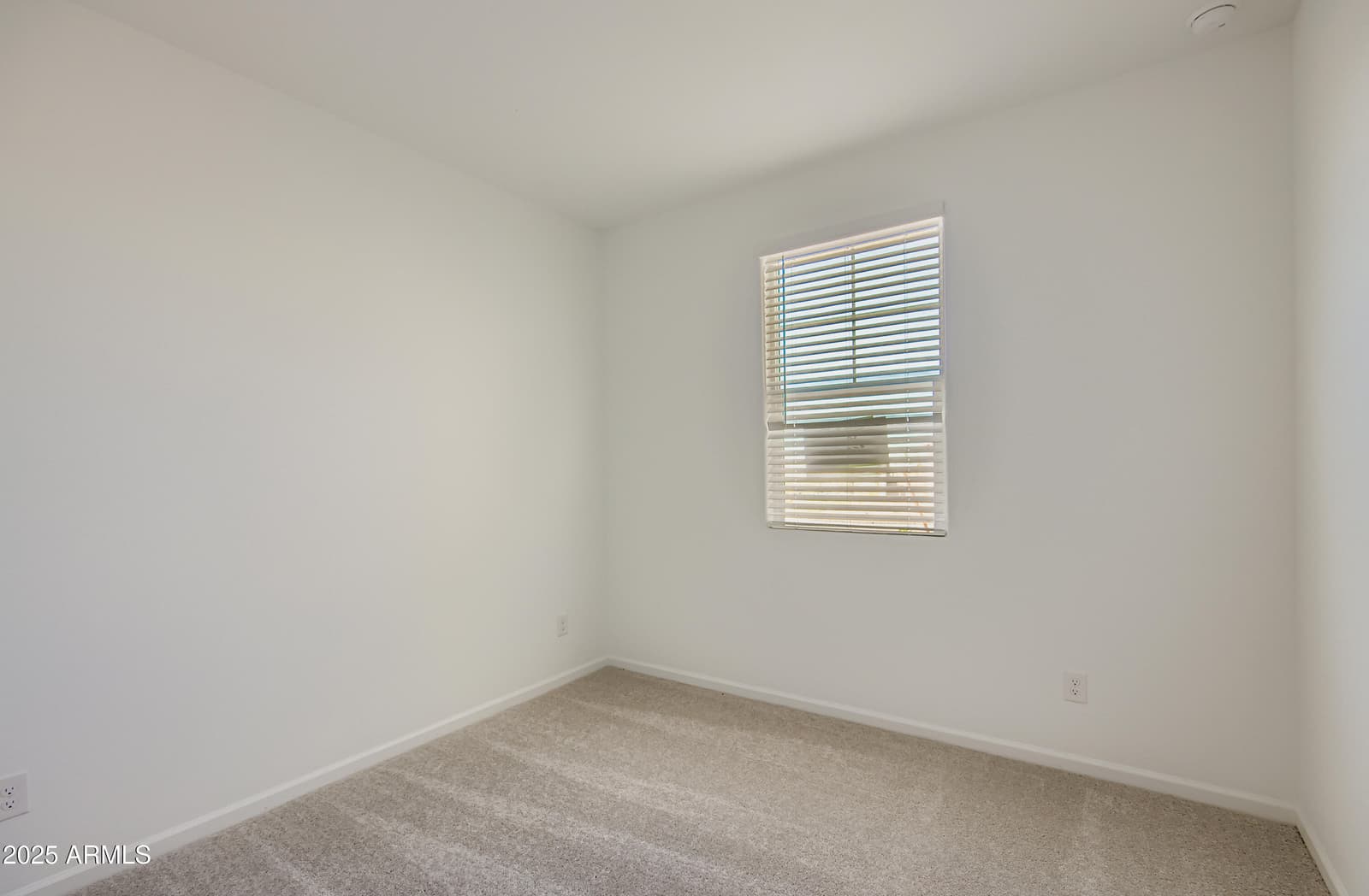 30291 W Wild Hazel Drive, Buckeye, AZ 85396 — photo 21 of 29