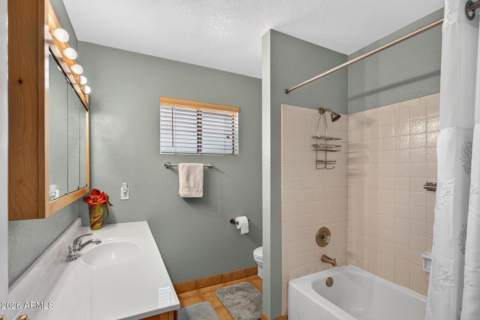 705 W Alamo Drive, Chandler, AZ 85225 — photo 25 of 36