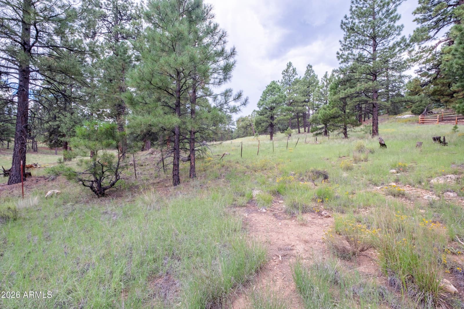 2270 N Colter Drive, Flagstaff, AZ 86004 — photo 42 of 46