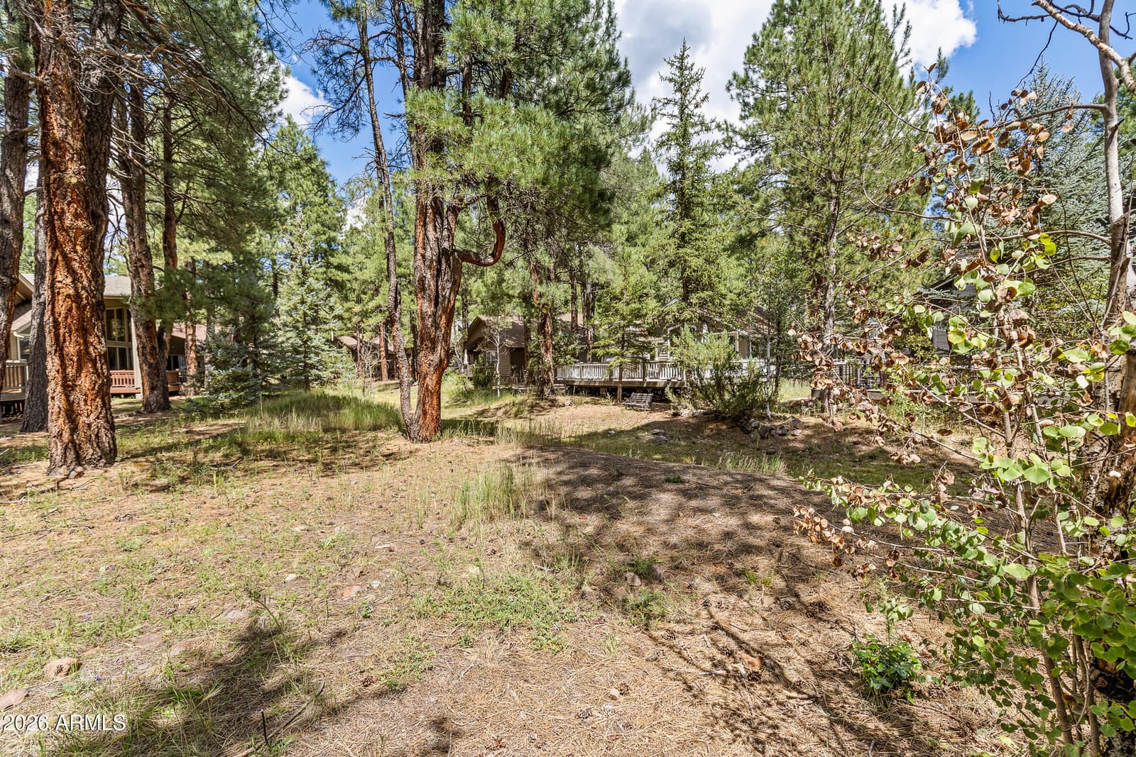 2233 Platt Cline, Flagstaff, AZ 86005 — photo 41 of 41