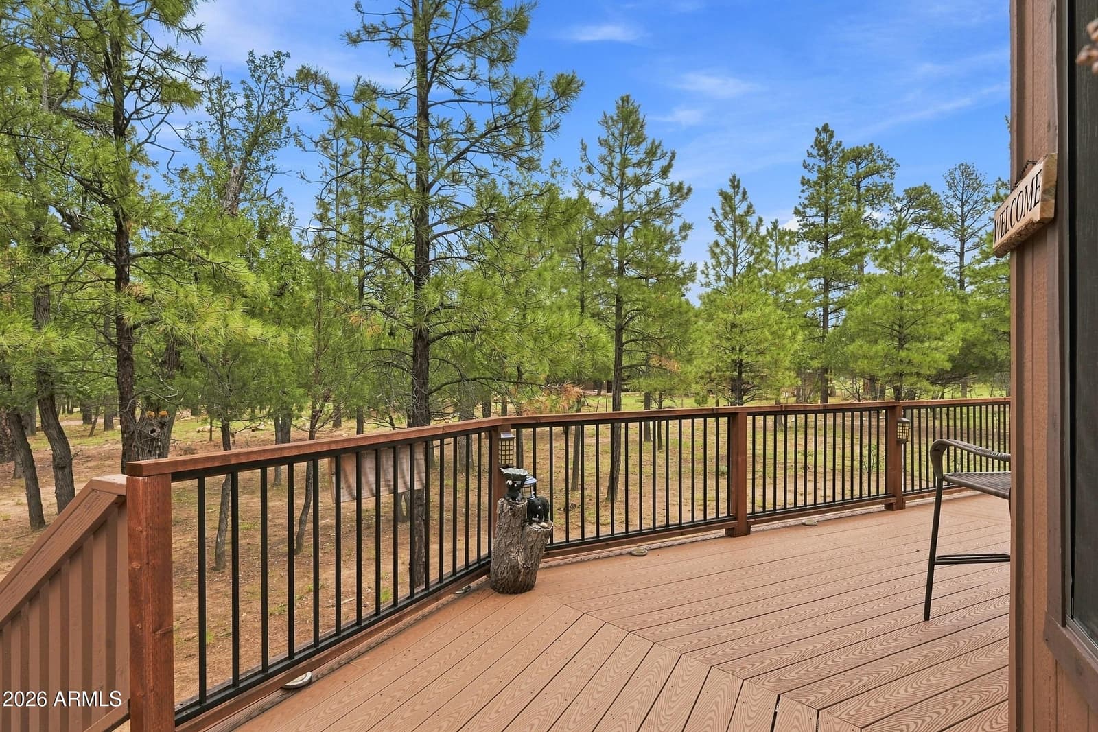 2150 Dakota Circle, Happy Jack, AZ 86024 — photo 31 of 45
