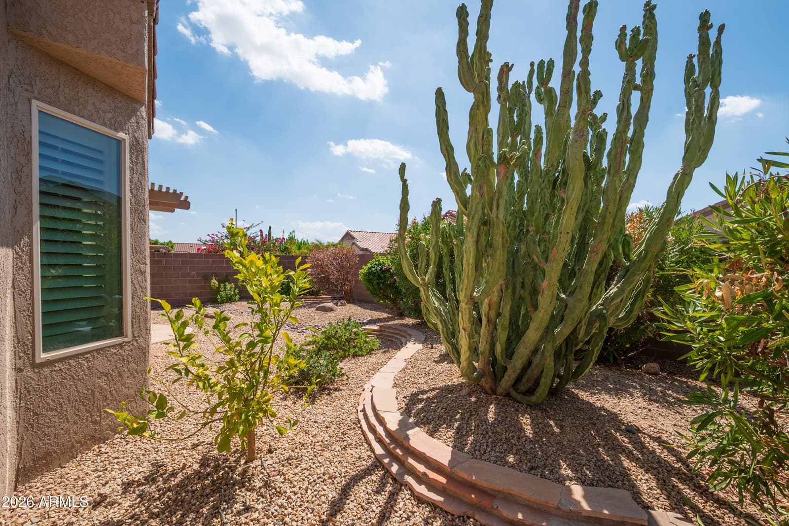 15745 W Desert Meadow Drive, Surprise, AZ 85374 — photo 23 of 26