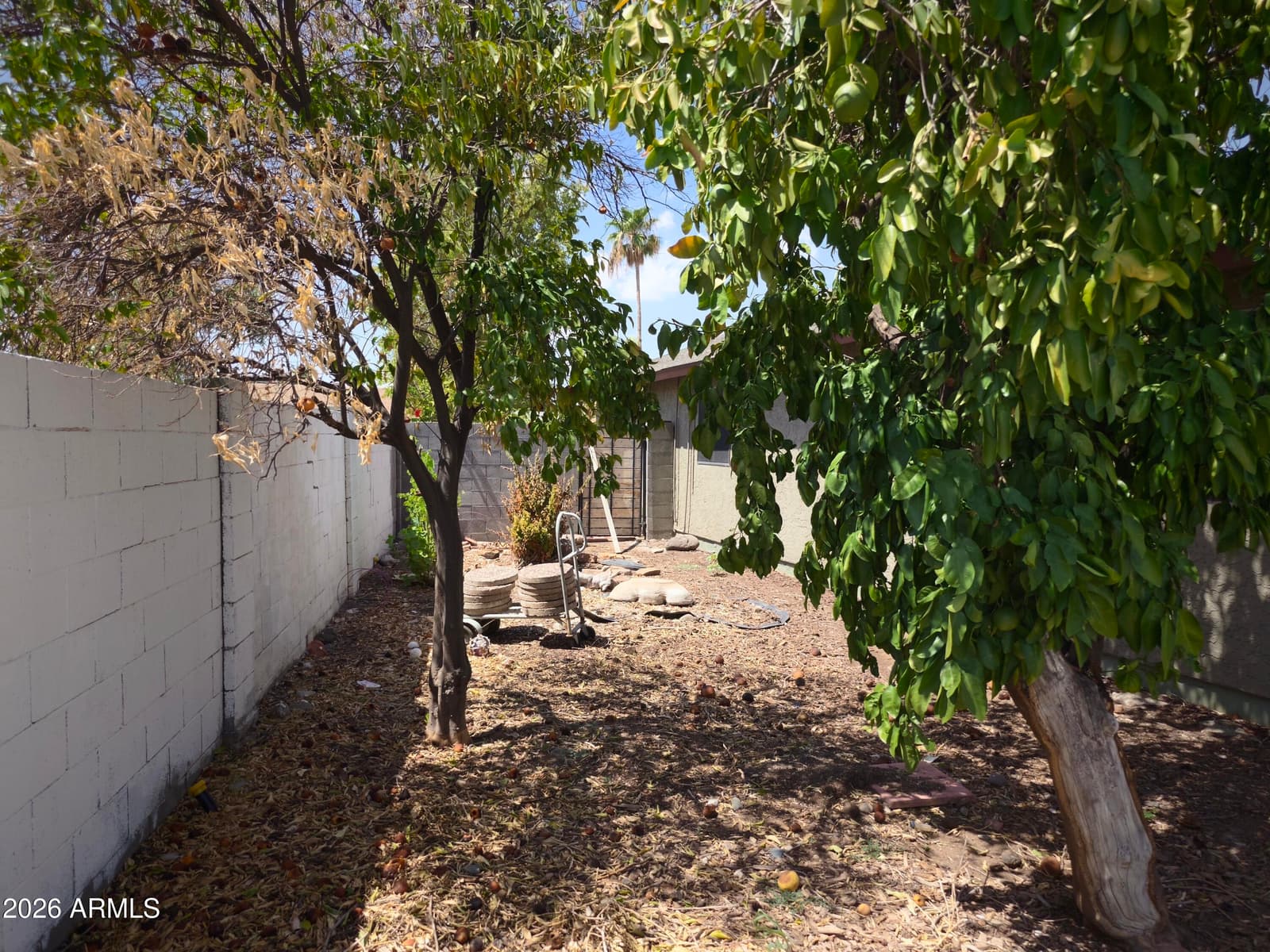 14819 N 63rd Avenue, Glendale, AZ 85306 — photo 33 of 53