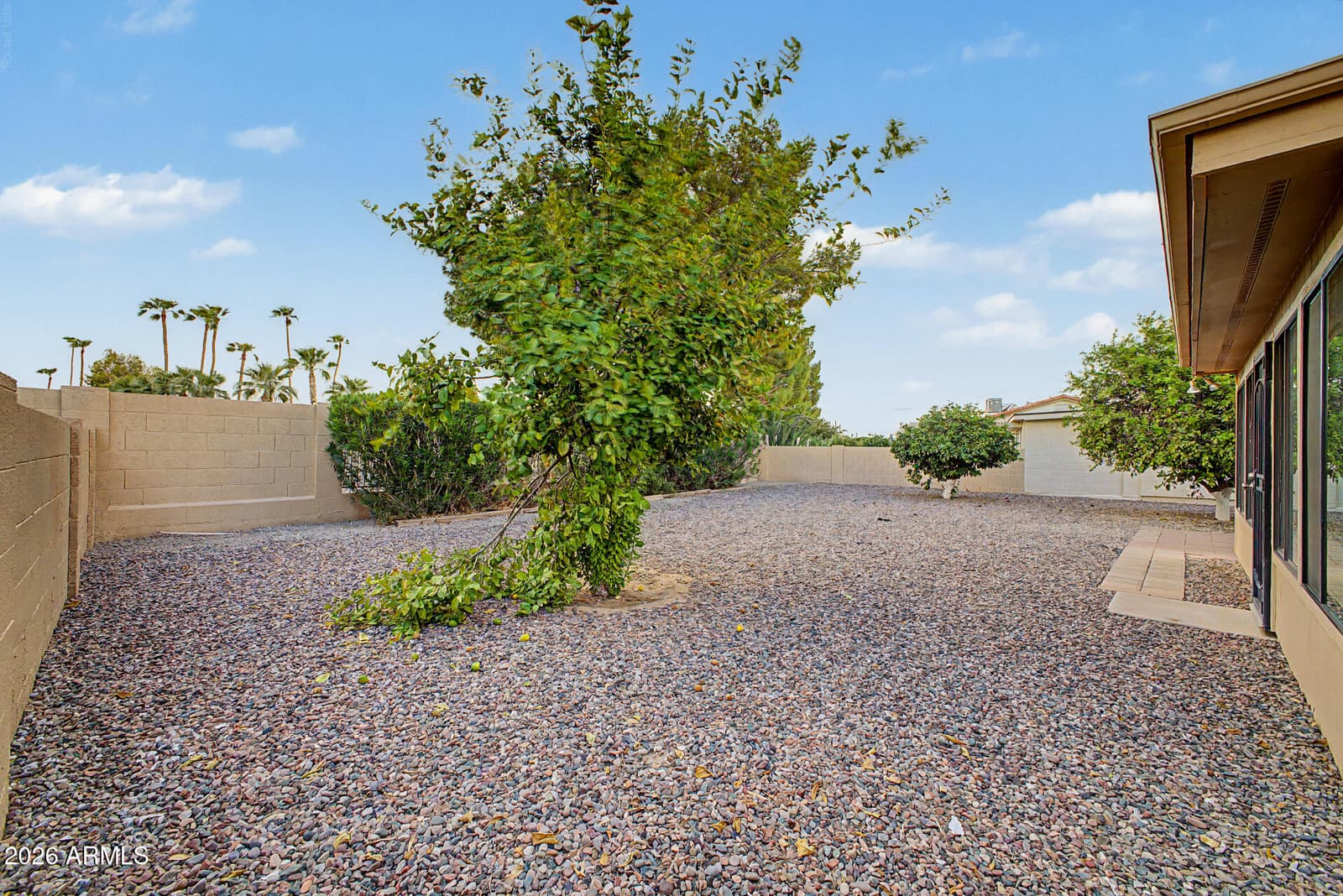 26609 S Trevino Drive, Sun Lakes, AZ 85248 — photo 38 of 48