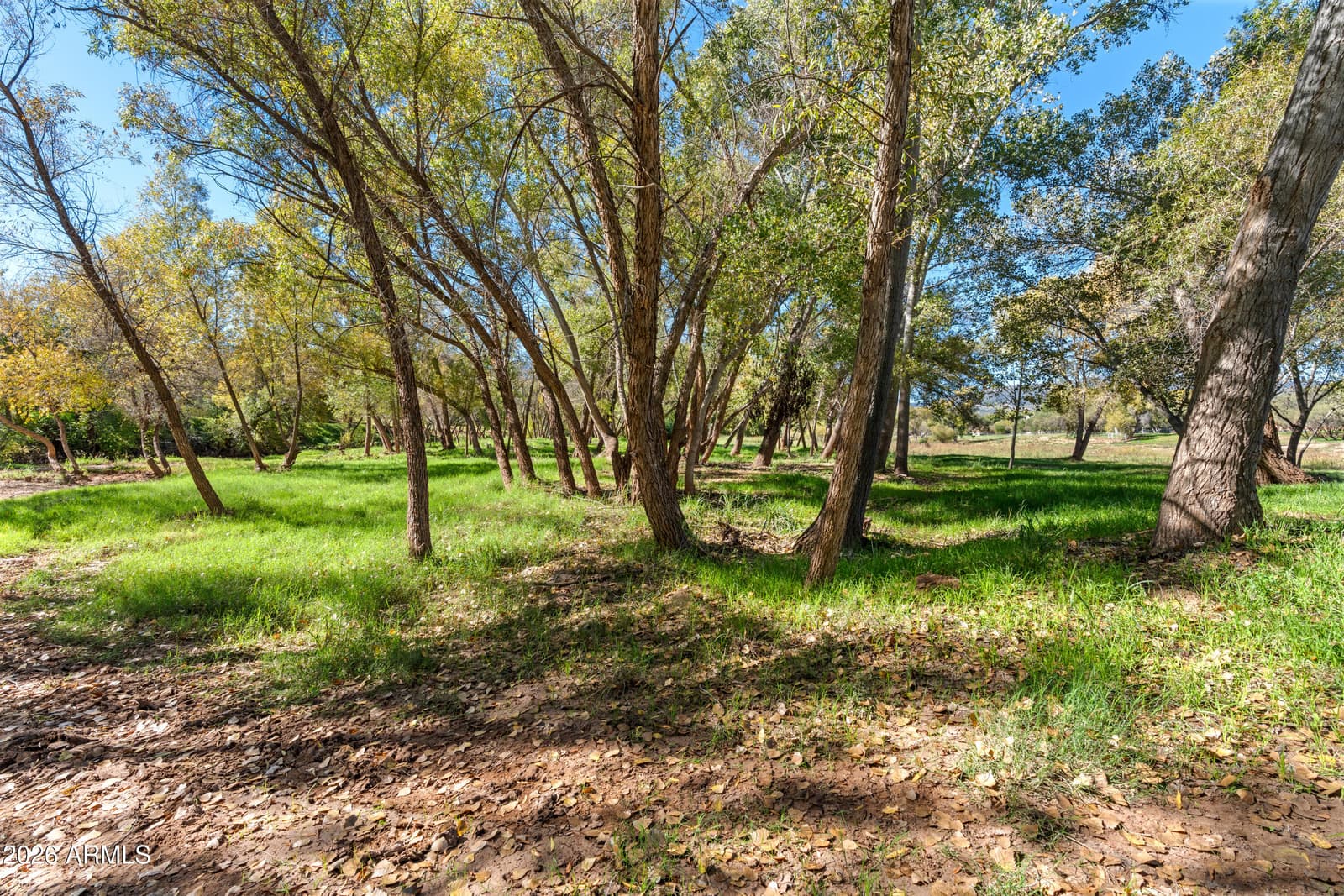 1450 S Maybelle Lane, Camp Verde, AZ 86322 — photo 33 of 65