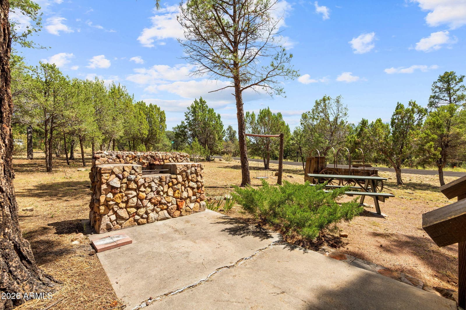 2926 Homestead Drive, Overgaard, AZ 85933 — photo 25 of 35