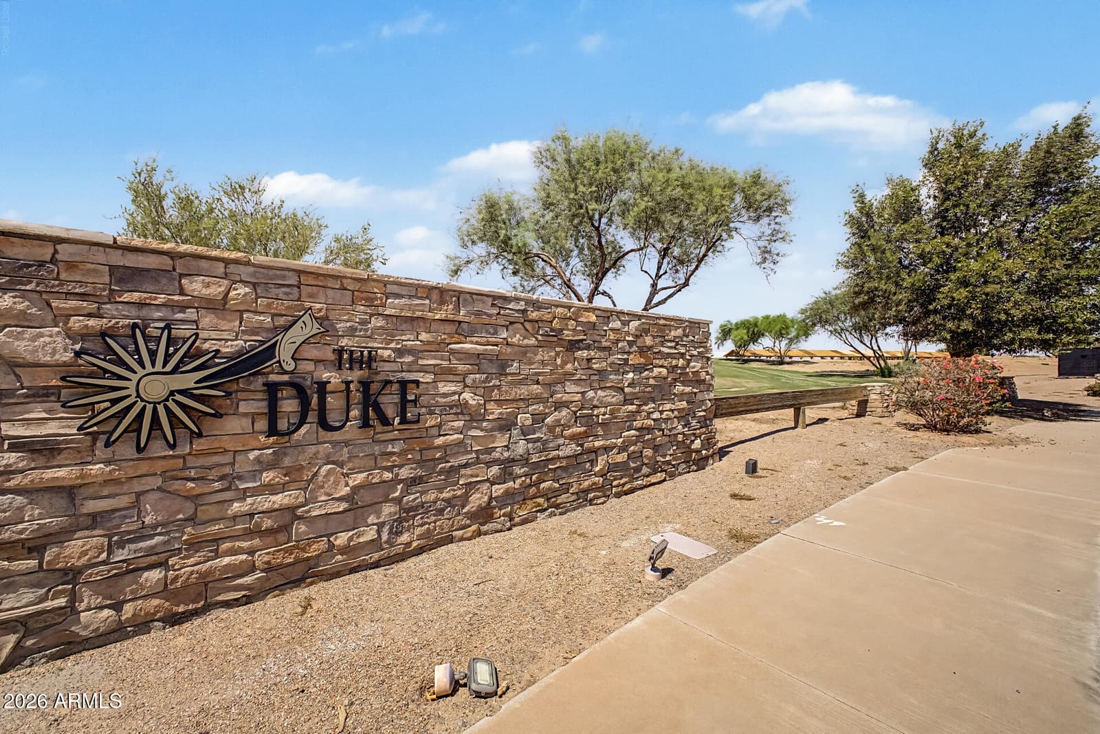 41841 W Chambers Court, Maricopa, AZ 85138 — photo 48 of 48