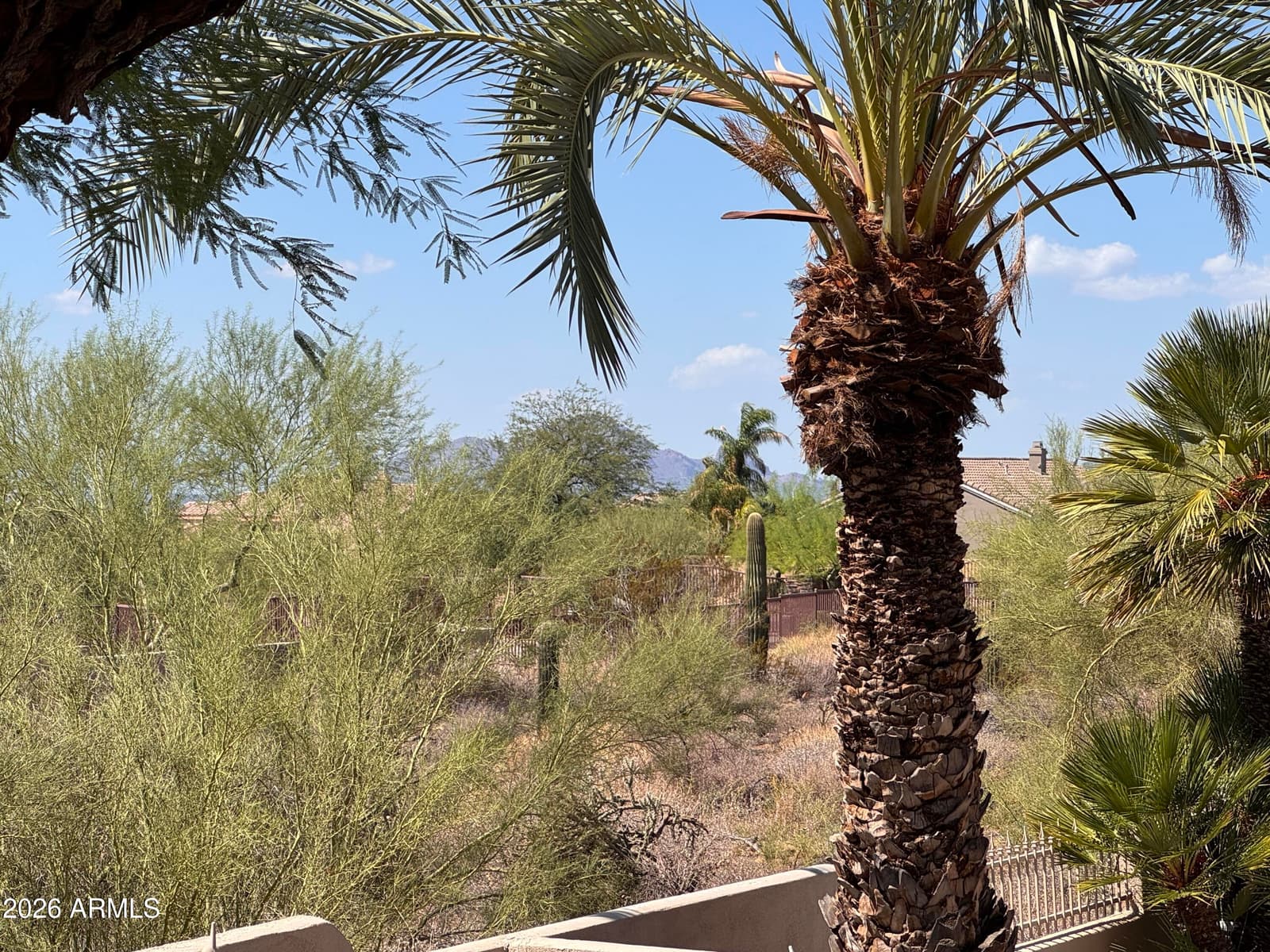 12463 E Cortez Drive, Scottsdale, AZ 85259 — photo 6 of 20