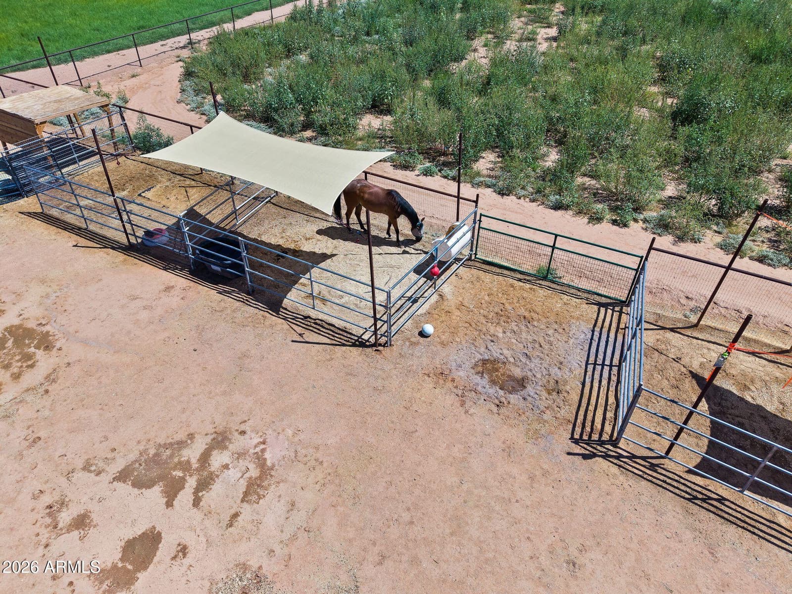 11142 E Copper Dust Trail, Florence, AZ 85132 — photo 40 of 51