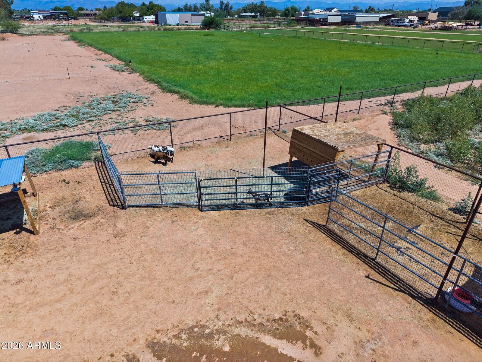 11142 E Copper Dust Trail, Florence, AZ 85132 — photo 41 of 51