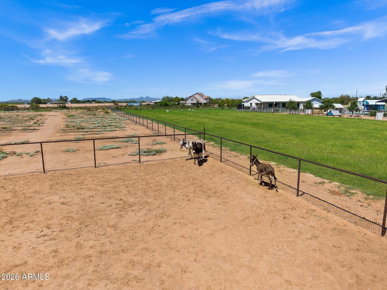 11142 E Copper Dust Trail, Florence, AZ 85132 — photo 42 of 51