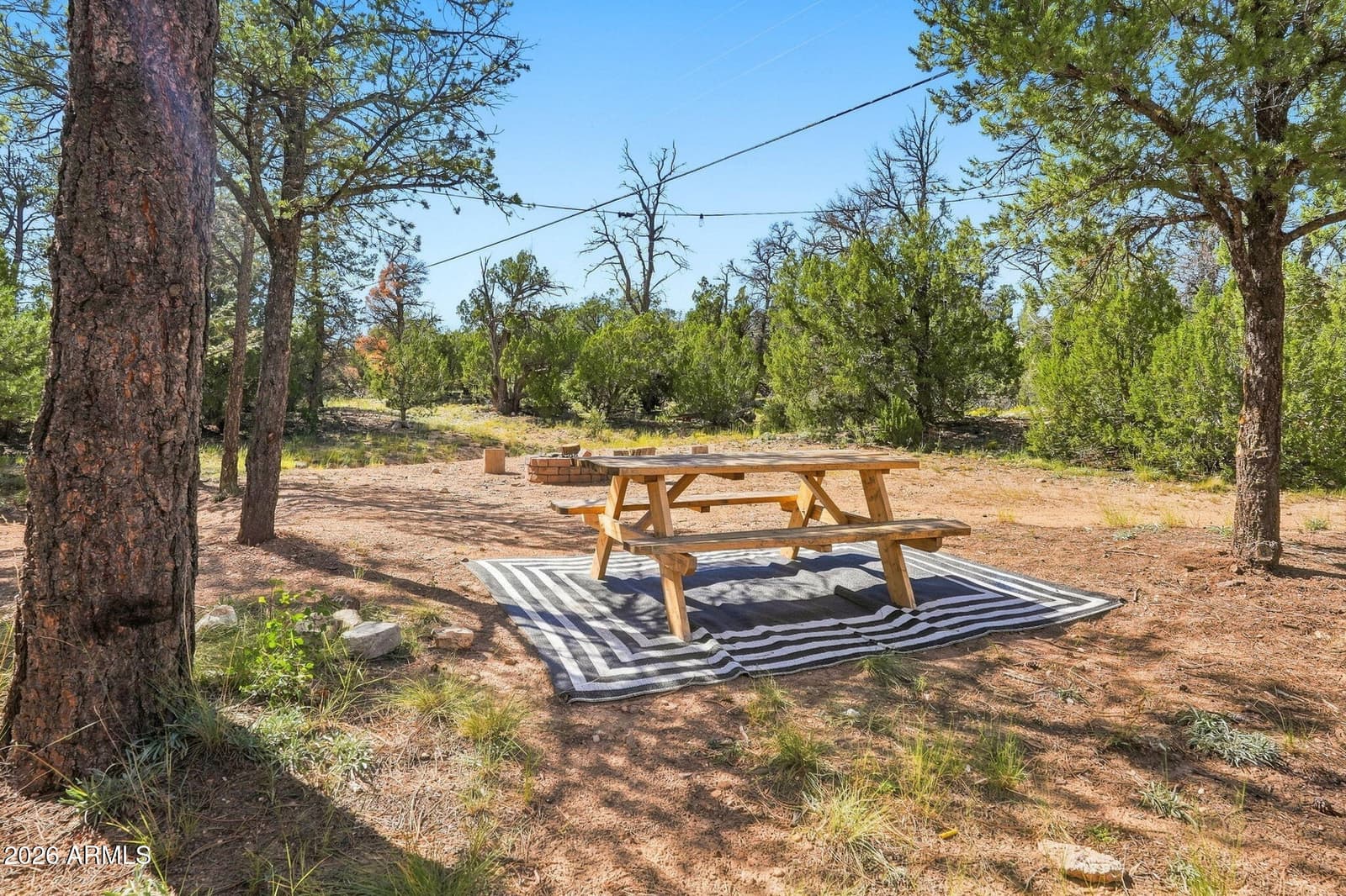 1932 Aspen Lane, Overgaard, AZ 85933 — photo 47 of 49
