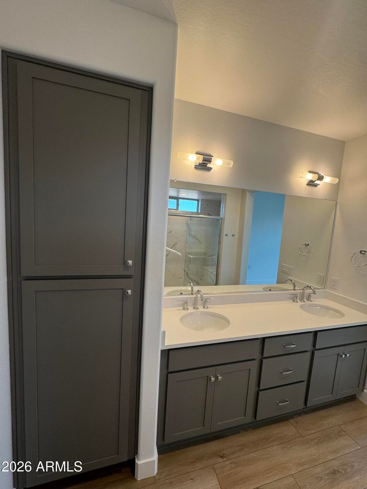 16803 W Fairmount Avenue, Goodyear, AZ 85395 — photo 5 of 37