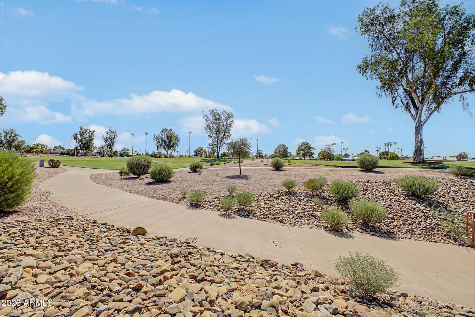 25449 S Truro Drive, Sun Lakes, AZ 85248 — photo 25 of 37