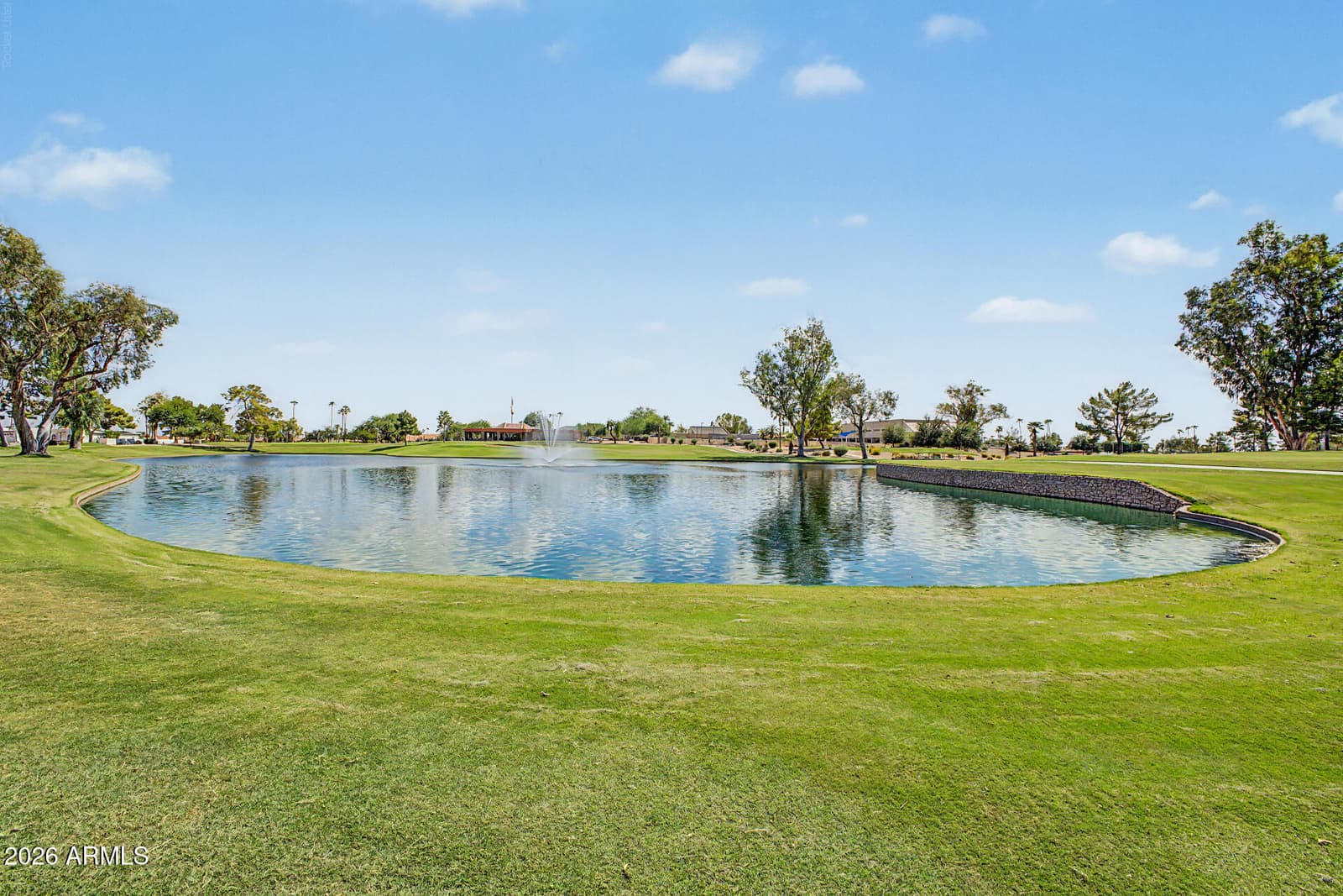 25449 S Truro Drive, Sun Lakes, AZ 85248 — photo 27 of 37
