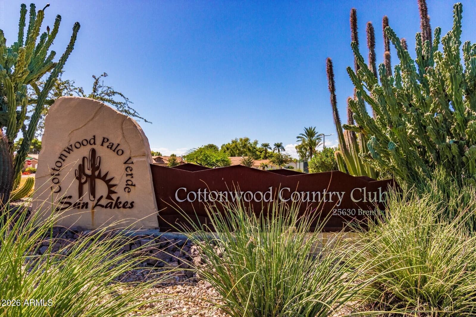 25449 S Truro Drive, Sun Lakes, AZ 85248 — photo 24 of 37