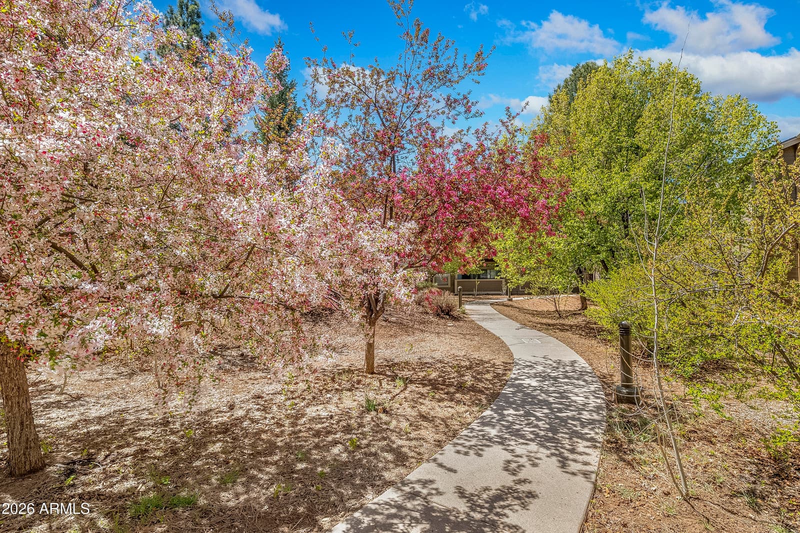 1401 N 4th Street 233, Flagstaff, AZ 86004 — photo 21 of 24