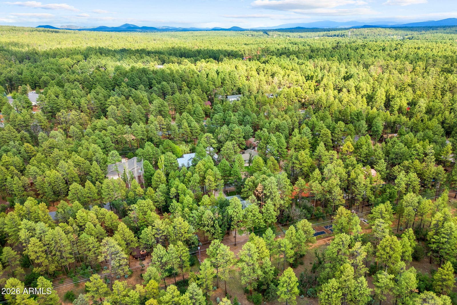 548 S Adair Springs Lane, Pinetop, AZ 85935 — photo 37 of 38