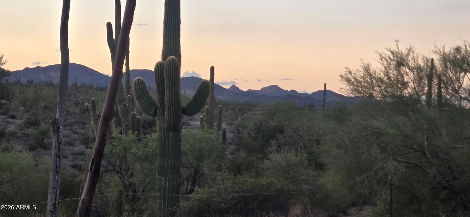 4828 E Jacob Waltz Street, Apache Junction, AZ 85119 — photo 7 of 18
