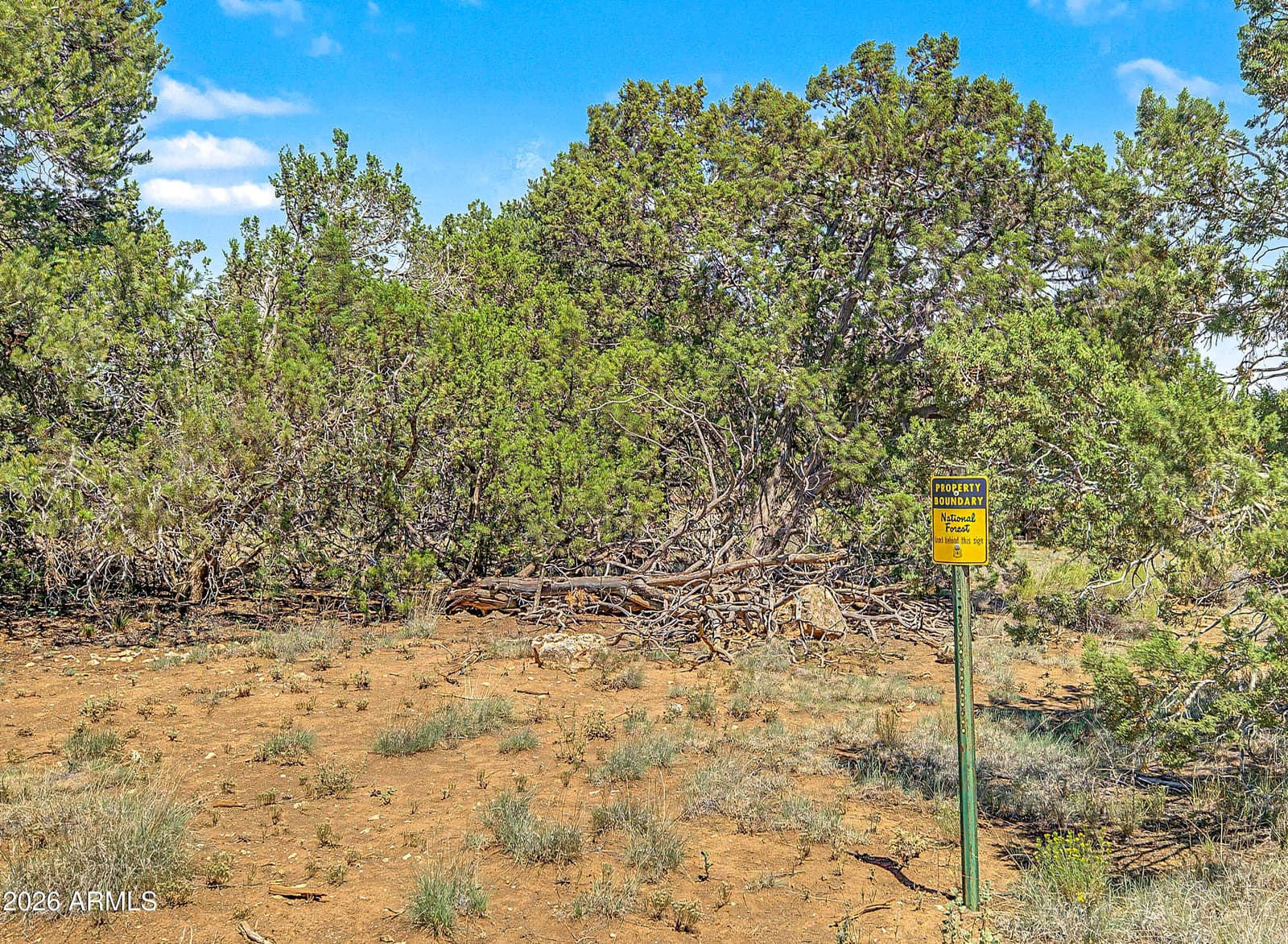 10095 Buckskin Court, Flagstaff, AZ 86004 — photo 54 of 63