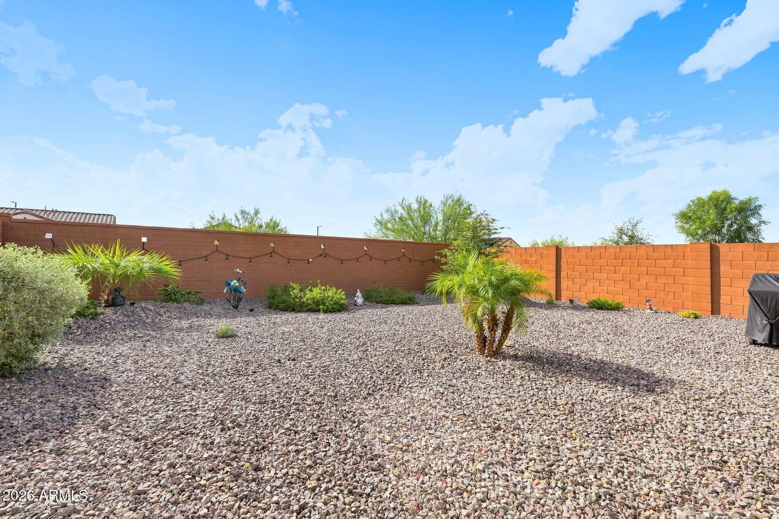 21286 N 271st Drive, Buckeye, AZ 85396 — photo 23 of 77