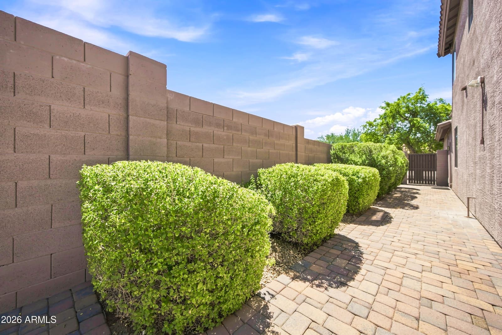 6772 W El Cortez Place, Peoria, AZ 85383 — photo 46 of 112