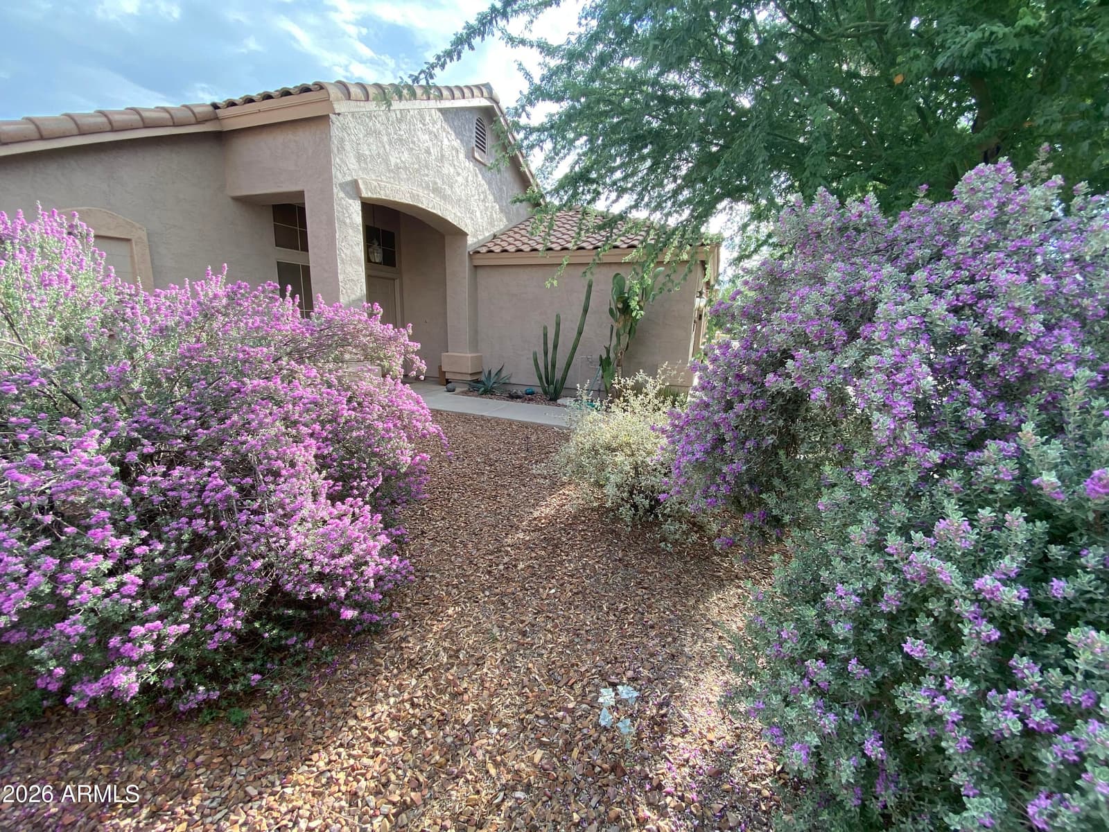 147 E Palo Blanco Way, Gilbert, AZ 85296 — photo 2 of 49