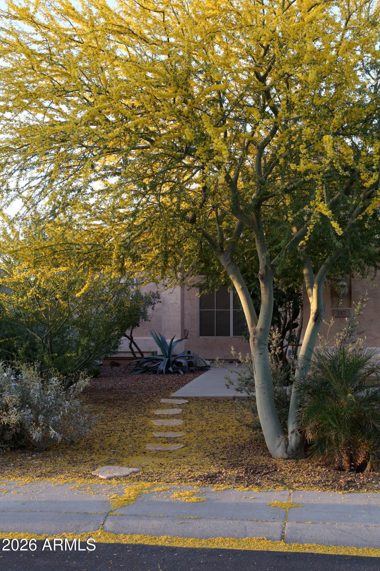 147 E Palo Blanco Way, Gilbert, AZ 85296 — photo 4 of 49