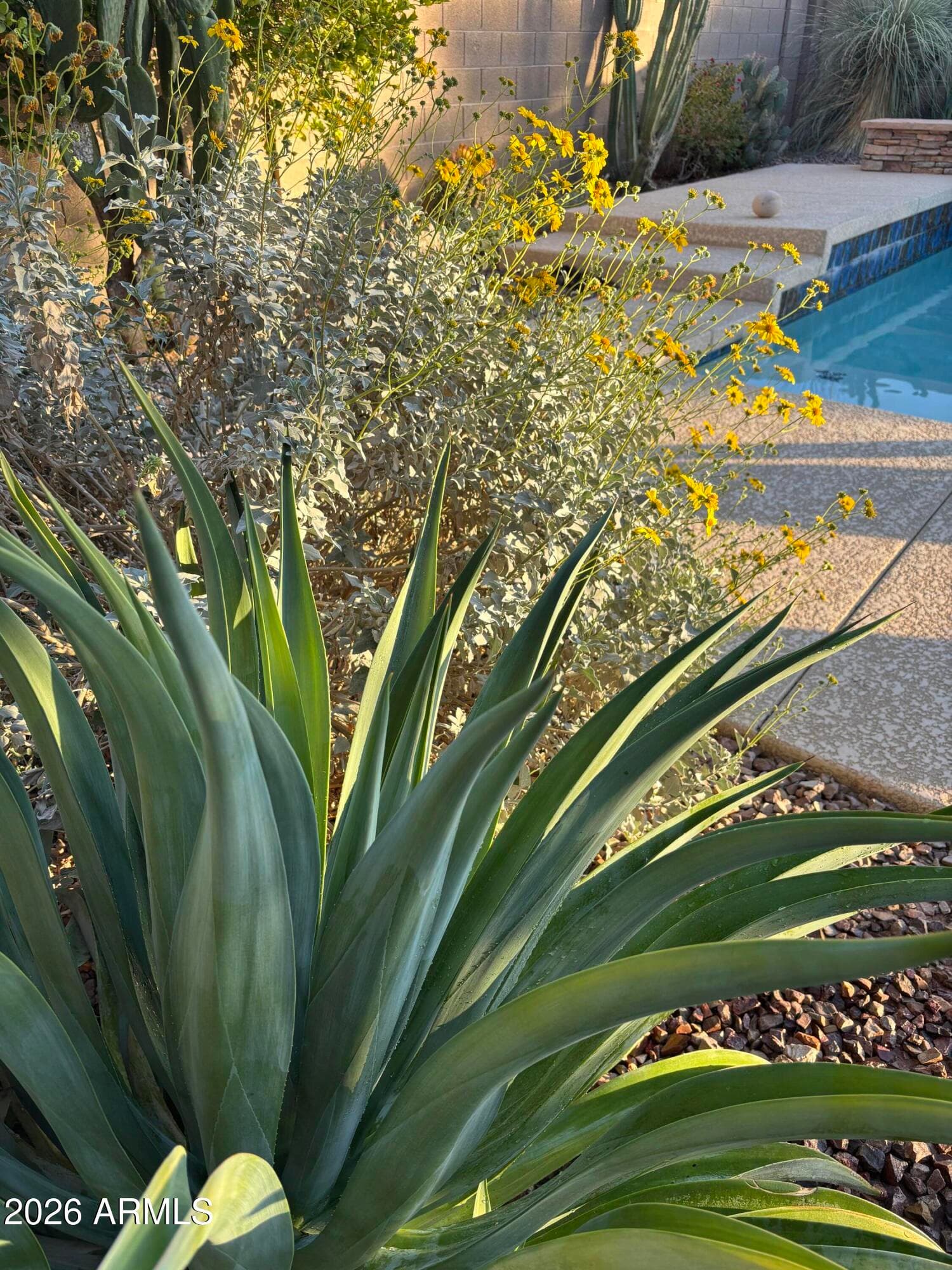 147 E Palo Blanco Way, Gilbert, AZ 85296 — photo 43 of 49