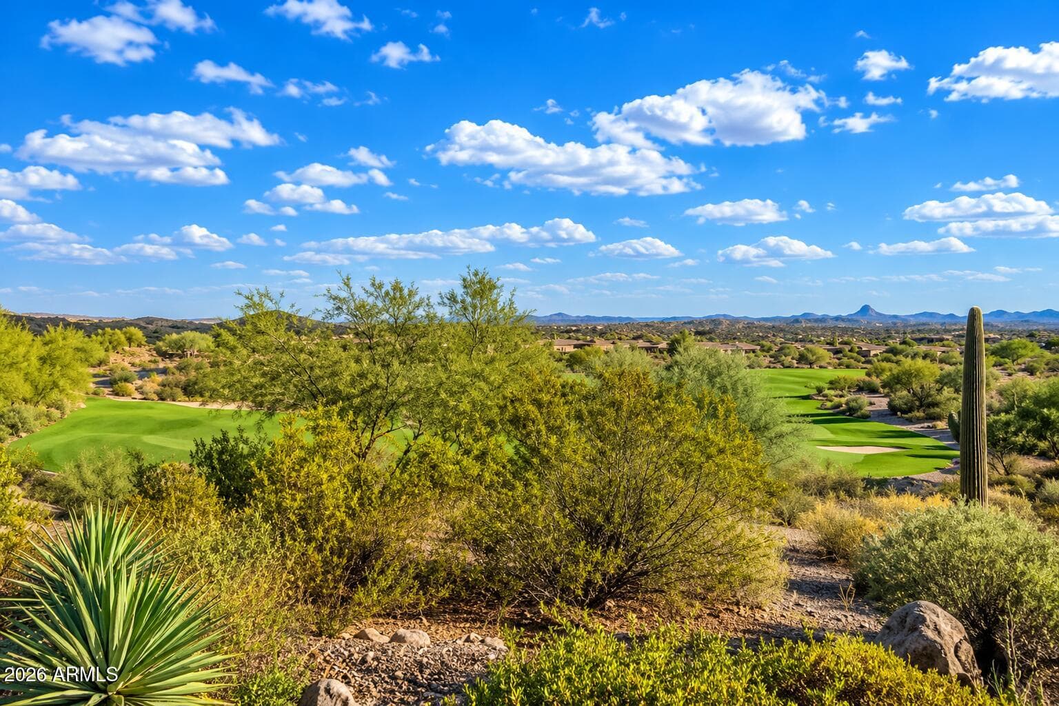 4281 Leaf Spring Drive, Wickenburg, AZ 85390 — photo 36 of 45
