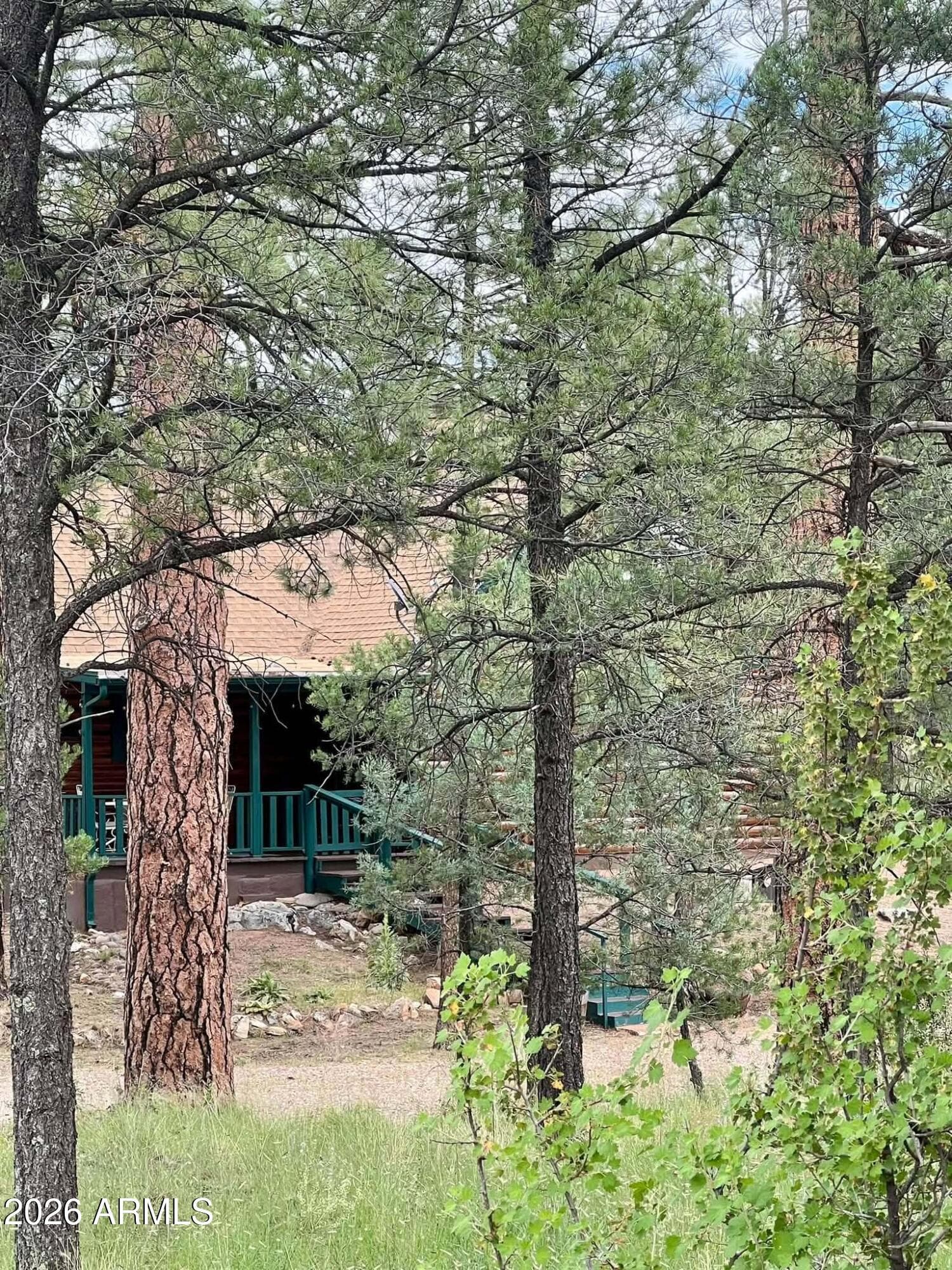3331 Mogollon Drive, Overgaard, AZ 85933 — photo 54 of 57