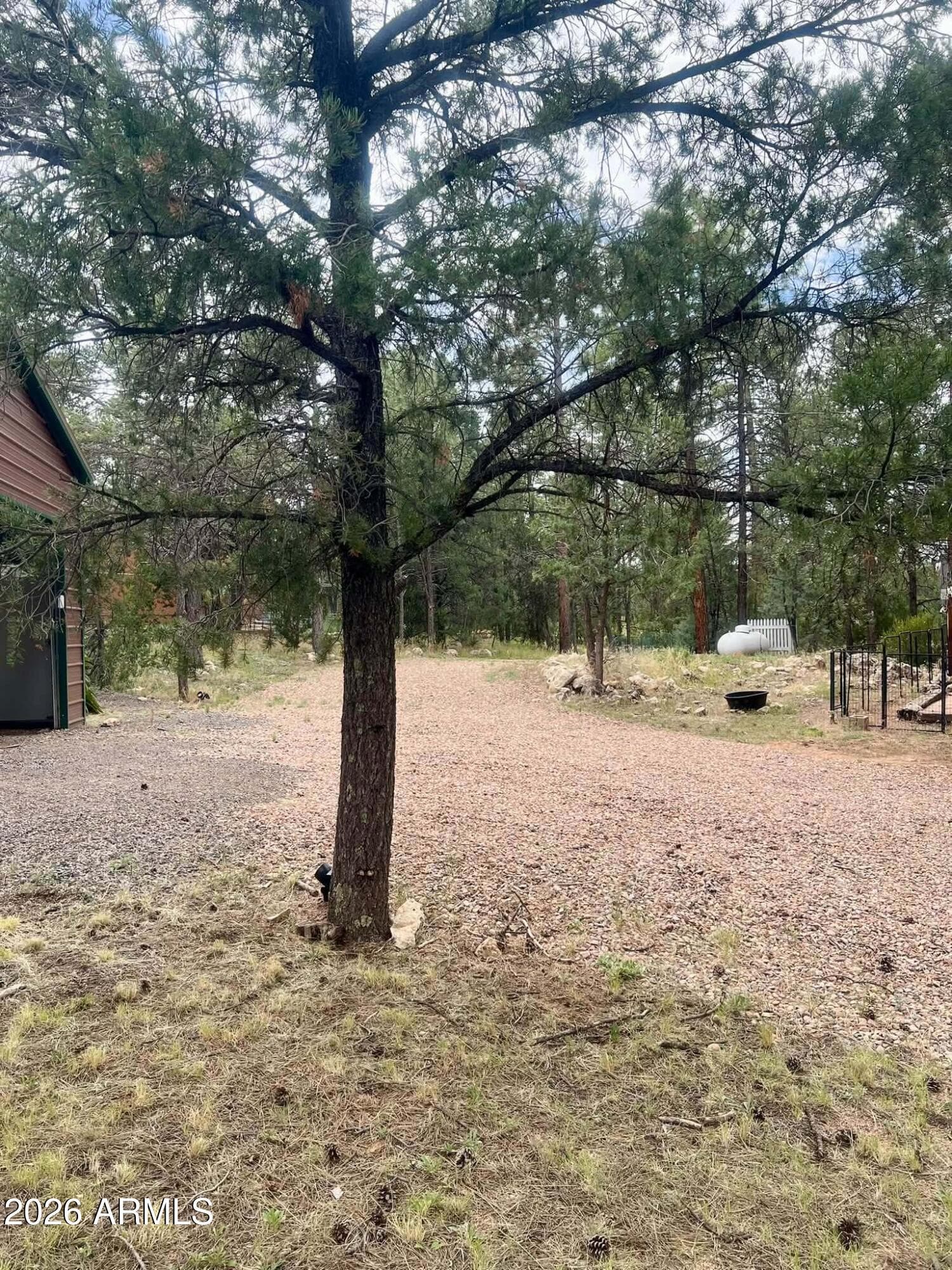 3331 Mogollon Drive, Overgaard, AZ 85933 — photo 43 of 57