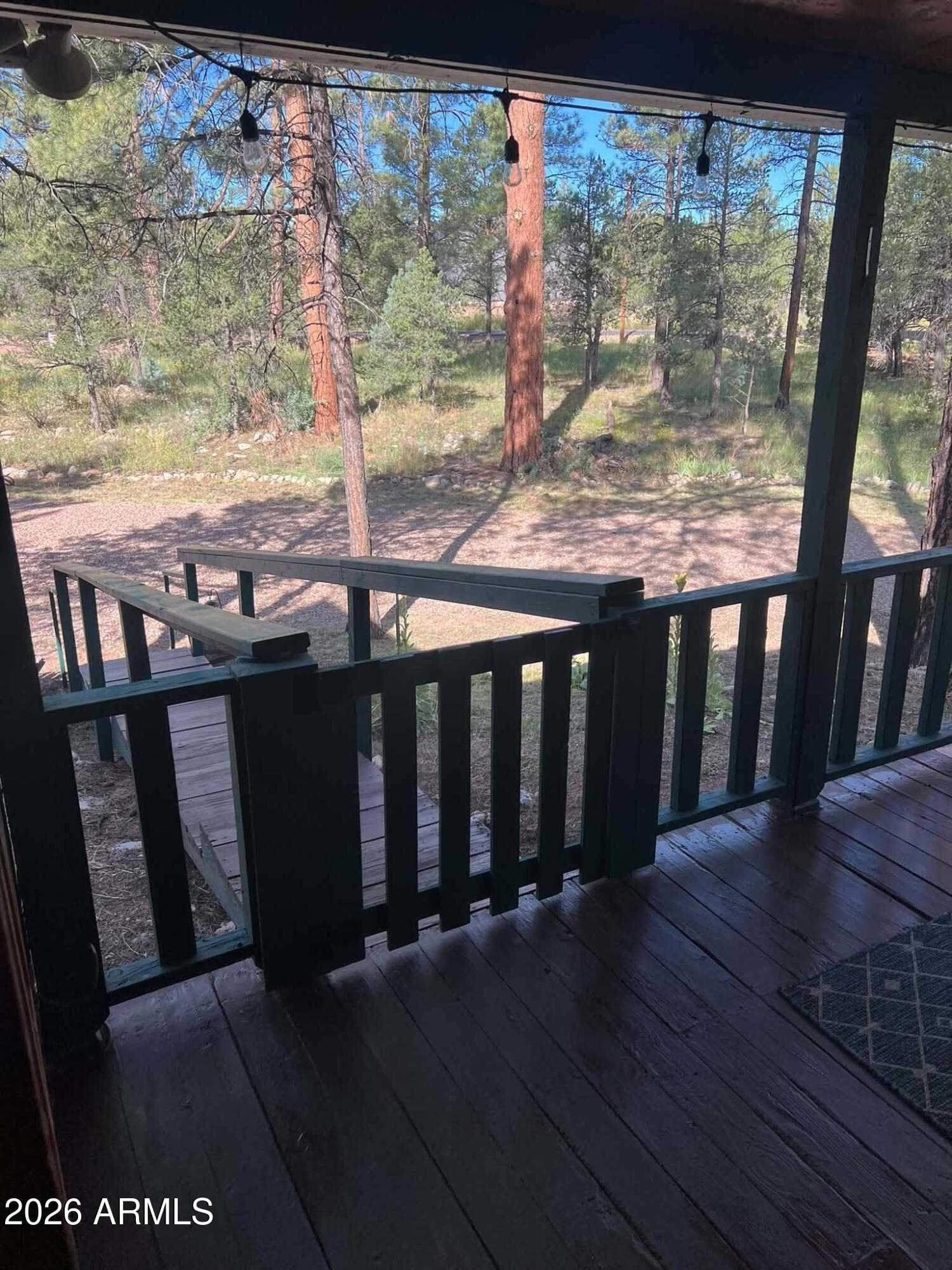 3331 Mogollon Drive, Overgaard, AZ 85933 — photo 49 of 57