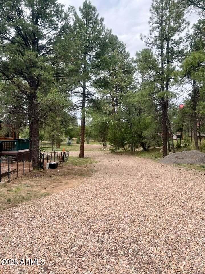 3331 Mogollon Drive, Overgaard, AZ 85933 — photo 41 of 57