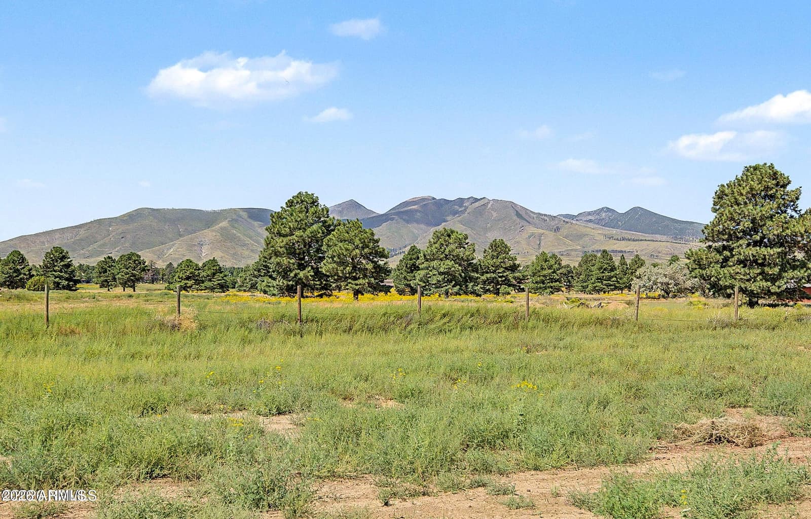 12194 Daniel Way, Flagstaff, AZ 86004 — photo 48 of 67