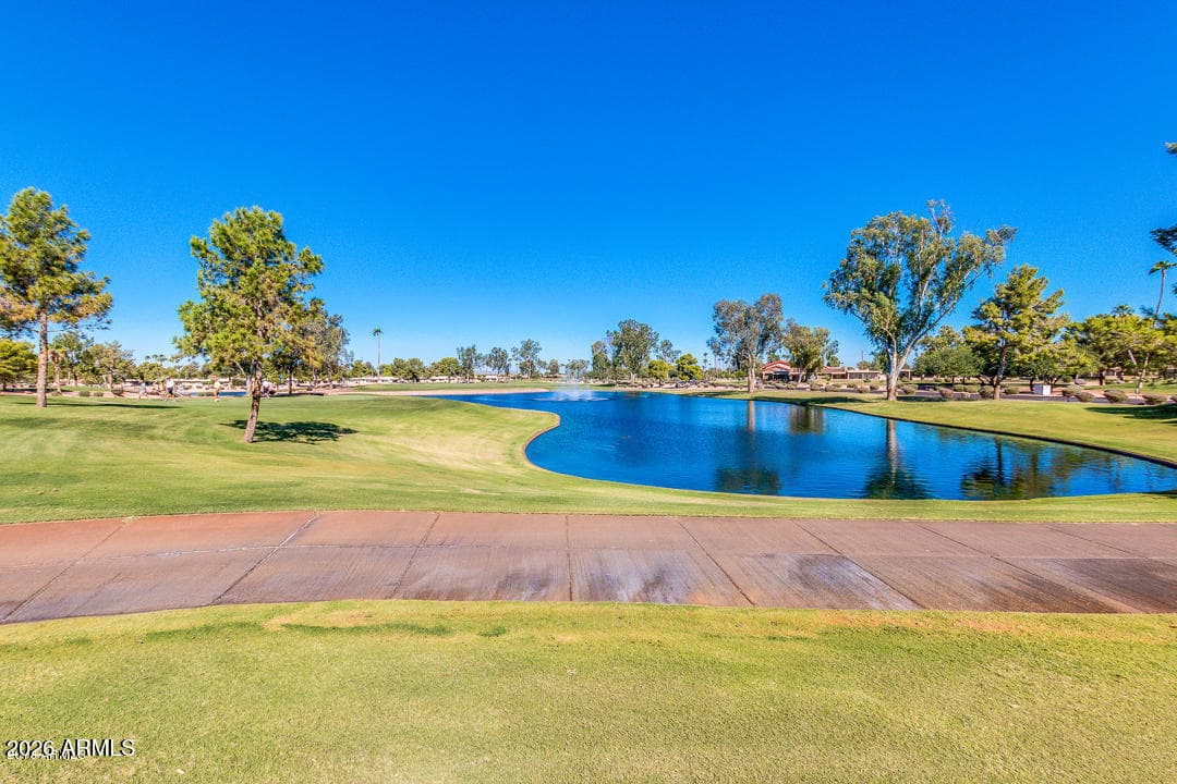 26421 S Truro Drive, Sun Lakes, AZ 85248 — photo 48 of 58